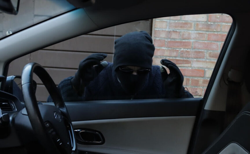 thief-citizens arrest